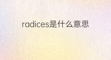 radices是什么意思 radices的中文翻译、读音、例句