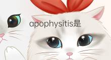 apophysitis是什么意思 apophysitis的中文翻译、读音、例句