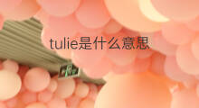 tulie是什么意思 tulie的中文翻译、读音、例句