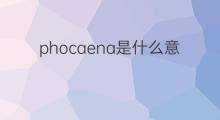 phocaena是什么意思 phocaena的中文翻译、读音、例句