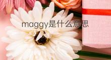 maggy是什么意思 maggy的中文翻译、读音、例句