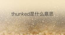thunked是什么意思 thunked的中文翻译、读音、例句