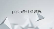 posin是什么意思 posin的中文翻译、读音、例句