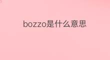bozzo是什么意思 bozzo的中文翻译、读音、例句