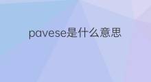 pavese是什么意思 pavese的翻译、读音、例句、中文解释