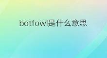 batfowl是什么意思 batfowl的中文翻译、读音、例句