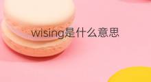 wising是什么意思 wising的中文翻译、读音、例句