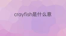 crayfish是什么意思 crayfish的中文翻译、读音、例句