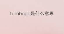 tambaga是什么意思 tambaga的中文翻译、读音、例句