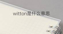 witton是什么意思 英文名witton的翻译、发音、来源