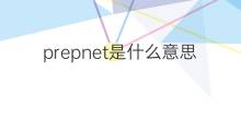 prepnet是什么意思 prepnet的中文翻译、读音、例句
