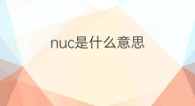 nuc是什么意思 nuc的中文翻译、读音、例句
