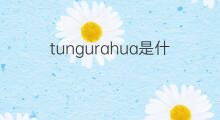 tungurahua是什么意思 tungurahua的中文翻译、读音、例句