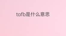 tafb是什么意思 tafb的中文翻译、读音、例句