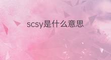 scsy是什么意思 scsy的中文翻译、读音、例句