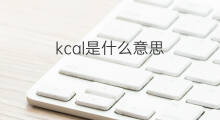 kcal是什么意思 kcal的翻译、读音、例句、中文解释