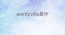 wentzville是什么意思 wentzville的中文翻译、读音、例句
