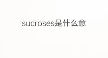 sucroses是什么意思 sucroses的中文翻译、读音、例句