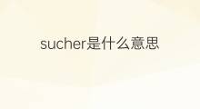 sucher是什么意思 sucher的中文翻译、读音、例句