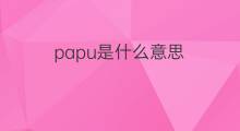 papu是什么意思 papu的中文翻译、读音、例句