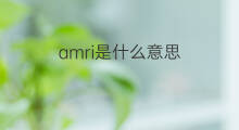 amri是什么意思 英文名amri的翻译、发音、来源