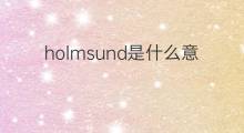 holmsund是什么意思 holmsund的中文翻译、读音、例句