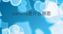 sammy是什么意思 sammy的中文翻译、读音、例句
