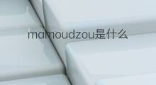 mamoudzou是什么意思 mamoudzou的中文翻译、读音、例句