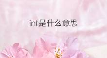 int是什么意思 int的翻译、读音、例句、中文解释