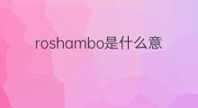 roshambo是什么意思 roshambo的中文翻译、读音、例句