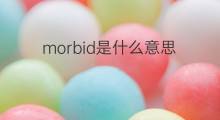 morbid是什么意思 morbid的中文翻译、读音、例句