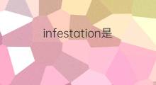 infestation是什么意思 infestation的中文翻译、读音、例句