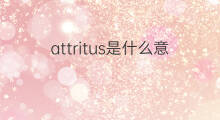 attritus是什么意思 attritus的中文翻译、读音、例句