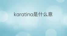 karatina是什么意思 karatina的中文翻译、读音、例句
