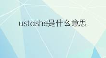 ustashe是什么意思 ustashe的中文翻译、读音、例句