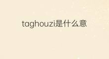 taghouzi是什么意思 taghouzi的中文翻译、读音、例句