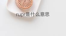 rupr是什么意思 rupr的中文翻译、读音、例句
