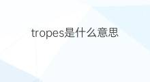 tropes是什么意思 tropes的中文翻译、读音、例句