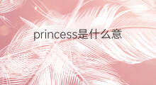 princess是什么意思 princess的中文翻译、读音、例句