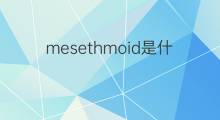 mesethmoid是什么意思 mesethmoid的中文翻译、读音、例句