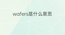 wafers是什么意思 wafers的中文翻译、读音、例句