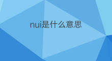 nui是什么意思 nui的中文翻译、读音、例句