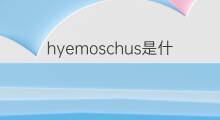 hyemoschus是什么意思 hyemoschus的中文翻译、读音、例句