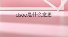 dsao是什么意思 dsao的中文翻译、读音、例句