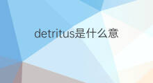 detritus是什么意思 detritus的中文翻译、读音、例句