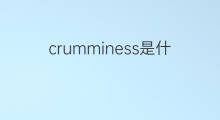 crumminess是什么意思 crumminess的中文翻译、读音、例句