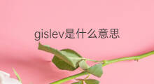 gislev是什么意思 gislev的中文翻译、读音、例句
