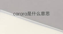 carara是什么意思 carara的中文翻译、读音、例句