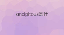 ancipitous是什么意思 ancipitous的中文翻译、读音、例句