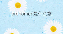 prenomen是什么意思 prenomen的中文翻译、读音、例句